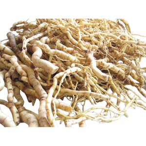 अफ्रीकन मुलोंडो रूट